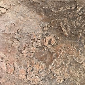 Detail: textured abstract painting in earth tones